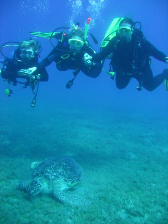 Big turtle with my girls in Marsa Abu Dabab, Egypt,by Ron... by Ronald Slooter 