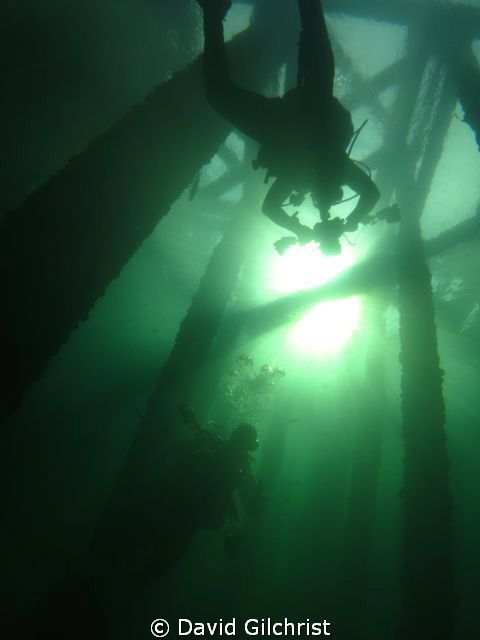 A dive at the Swing Bridge site, Welland Scuba Park. by David Gilchrist 