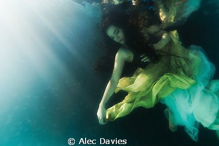Elsa Bleda shot in pool using Nikon D300 housed in Sea & ... by Alec Davies 