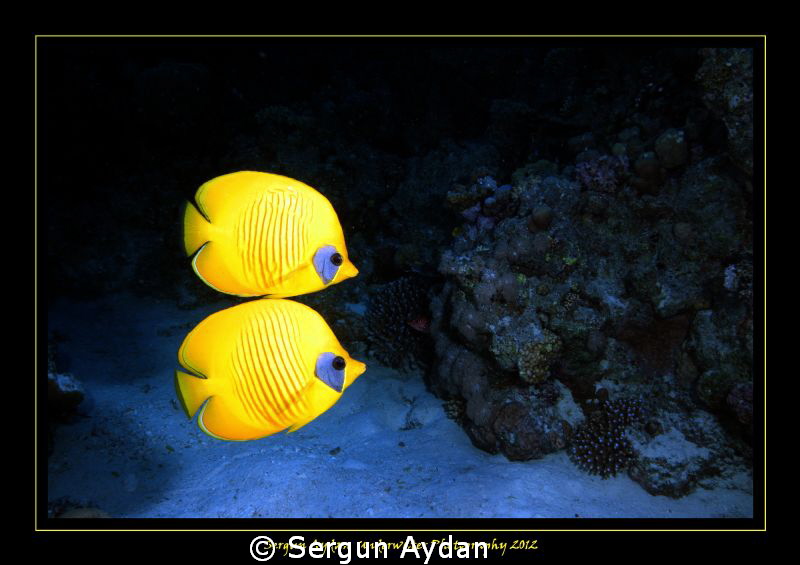 every time twins by Sergun Aydan 