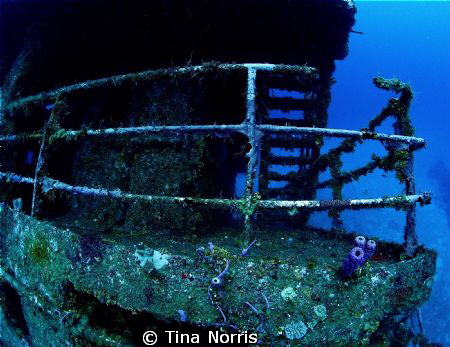 Wreck by Tina Norris 