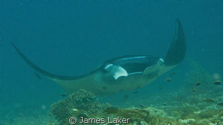 Taken with zoom, in a vicious current, holding on to a sm... by James Laker 