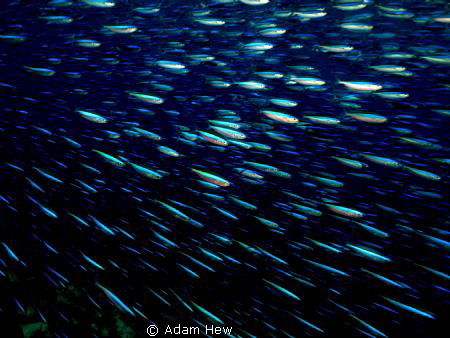 Warp speed by Adam Hew 