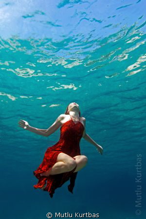 Young woman
Karaburun, Izmir, Turkey
Canon EOS 5D Mark ... by Mutlu Kurtbas 