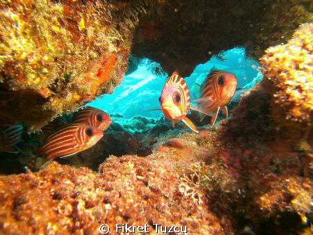Kas, Antalya/Turkey - Sealife DC 1400 Pro Duo by Fikret Tuzcu 