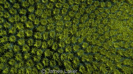 The textures of the sea. by James Laker 