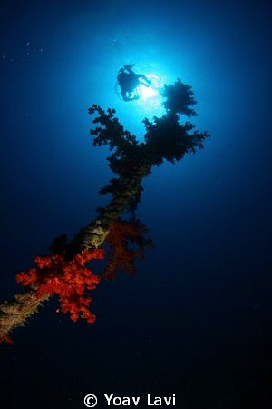 Descending by Yoav Lavi 