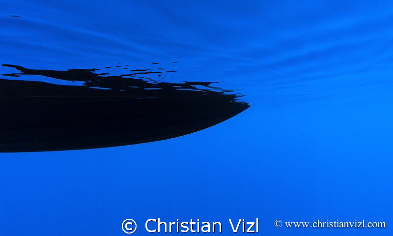 "Peaceful" by Christian Vizl 