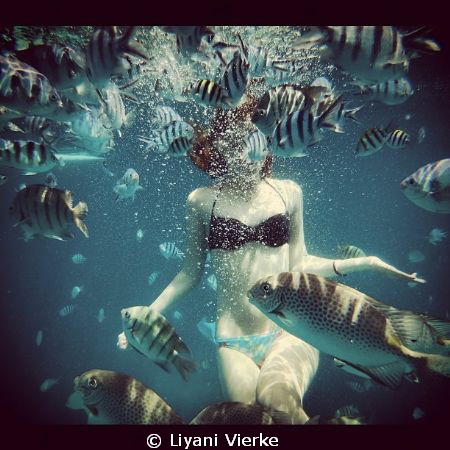 Swimming in the water and there were so many fish everywhere by Liyani Vierke 