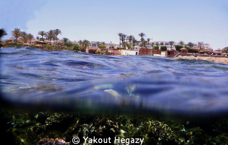 Up&down by Yakout Hegazy 