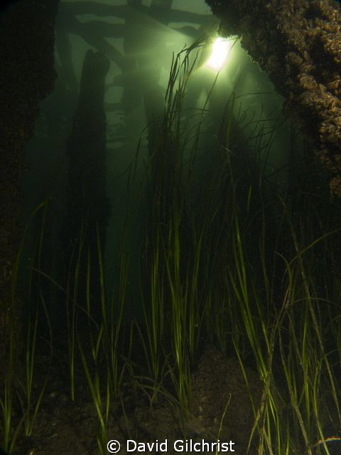 View under the piers near the Swing Bridge site, Welland ... by David Gilchrist 