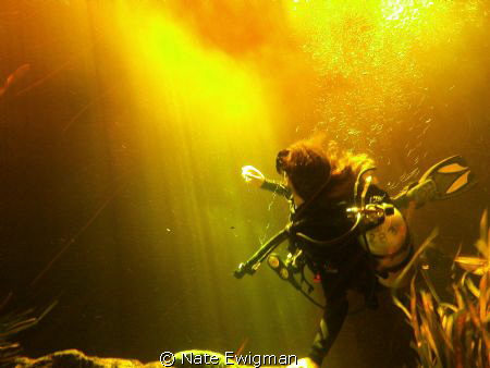 Diver looking at sun shining through tannic river water m... by Nate Ewigman 