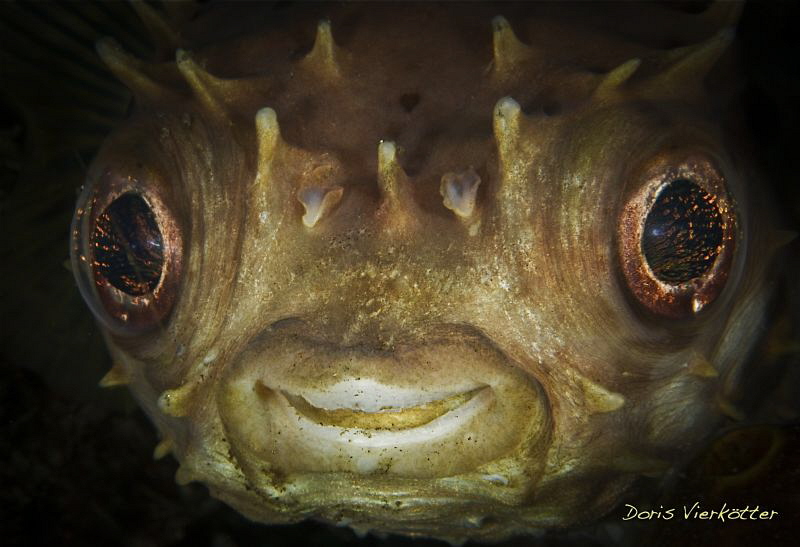 Keep smiling by Doris Vierkötter 