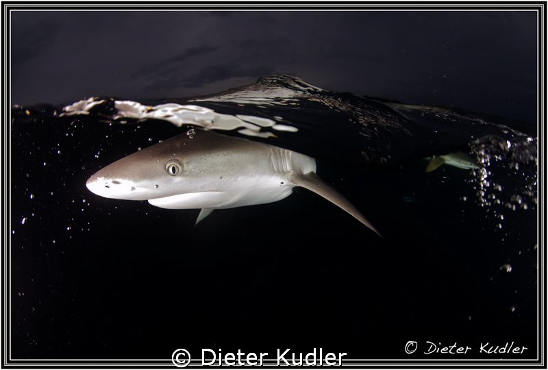 Dark Waters, Yap Island, Micronesia by Dieter Kudler 
