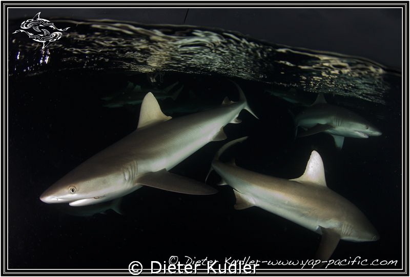 Dark Waters II by Dieter Kudler 