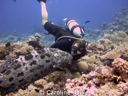diver pretending kissing the cod ! by Caroline Baille 