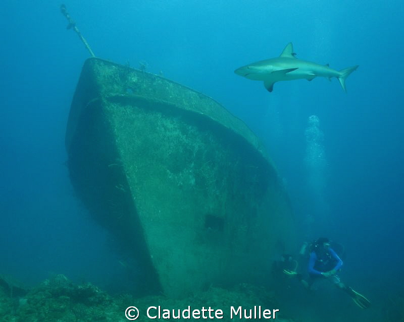 Shark? Where?...... by Claudette Muller 
