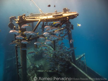 Meeting in the Kittiwake by Romeo Penacino 