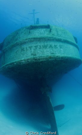 Kittiwake - Canon T2i Tokina 10-17mm Fisheye lens by Chris Crediford 