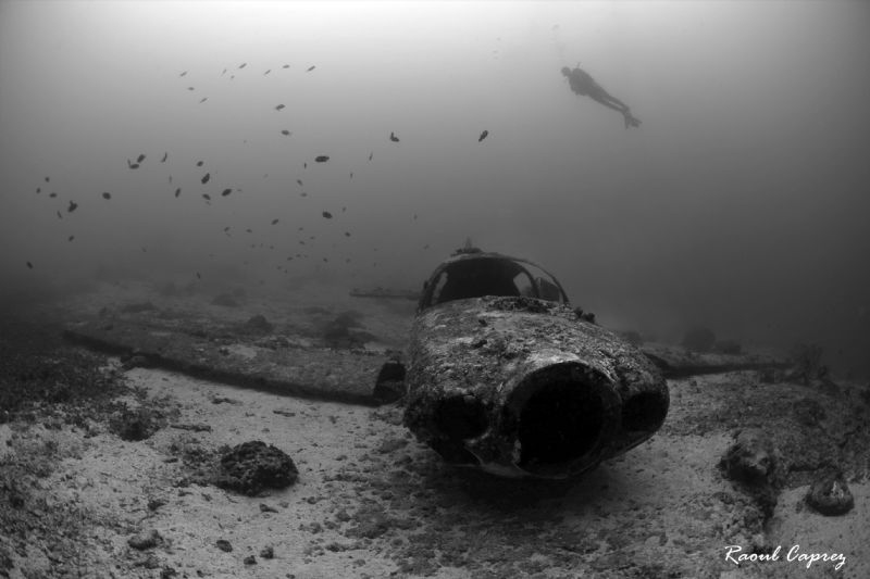 Diver flying over a plane by Raoul Caprez 