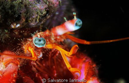 Occhio turchese by Salvatore Ianniello 