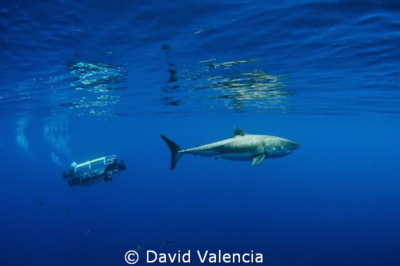 This day we had a sub in the water. Here's a comparison o... by David Valencia 