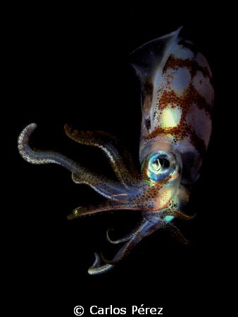 When the ligths are OFF!! by Carlos Pérez 