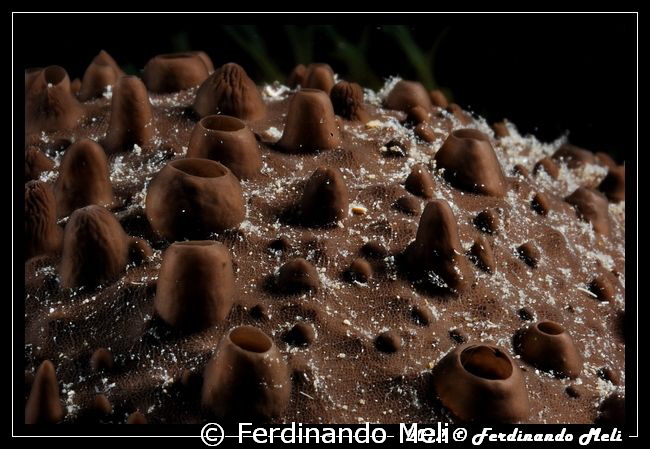 Very similar to a dry land whit volcanoes by Ferdinando Meli 