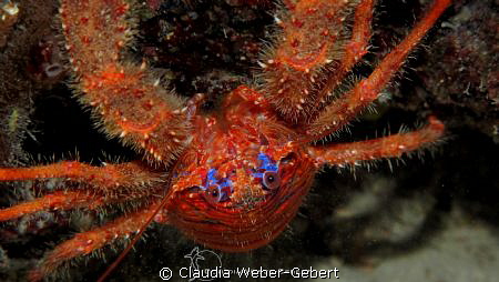 the cliffhanger...upside down by Claudia Weber-Gebert 