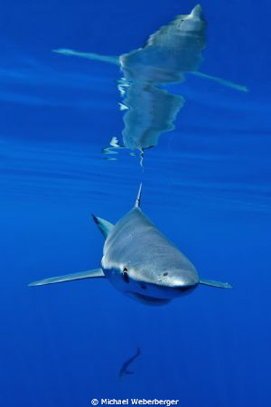 Reflect beauty: Here the Atlantic shows its best side of ... by Michael Weberberger 