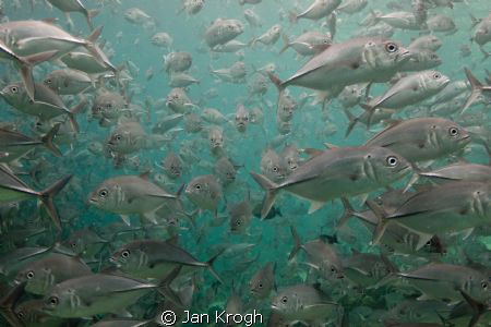 Traffic jam / my last 10 min under Water  before end vaca... by Jan Krogh 