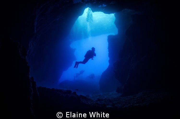 Diver in Blue Hole Gozo by Elaine White 