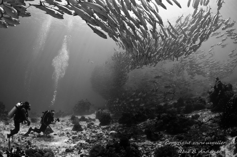 taken in Bohol, Panglo island by Rene Braband Andersen 
