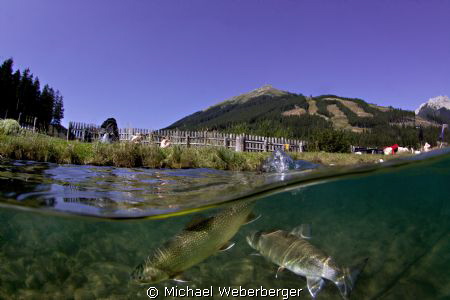 This photo was taken on the char Grüblsee in Austria ther... by Michael Weberberger 