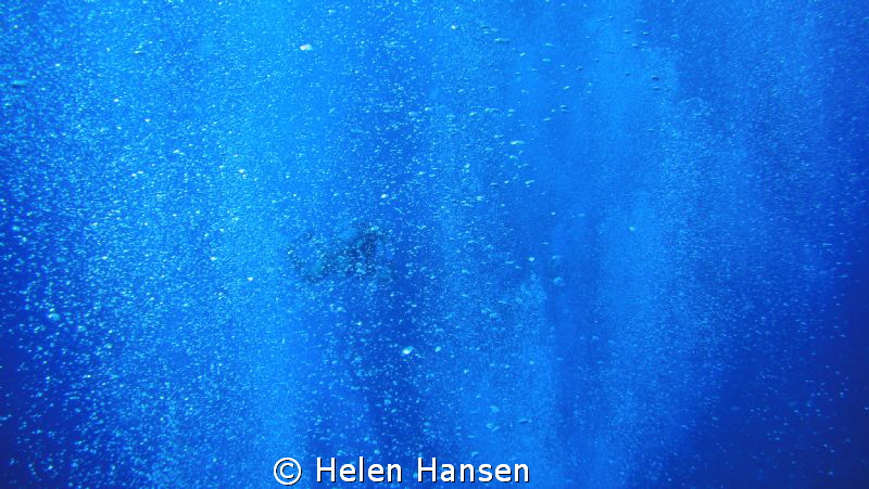 about 25 divers looking for Hammer Sharks (I found it ver... by Helen Hansen 