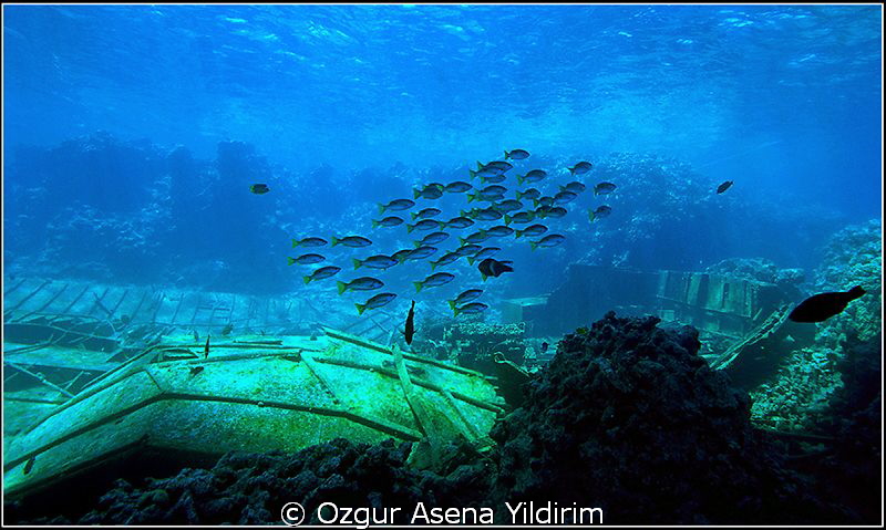 from deadalus by Ozgur Asena Yildirim 