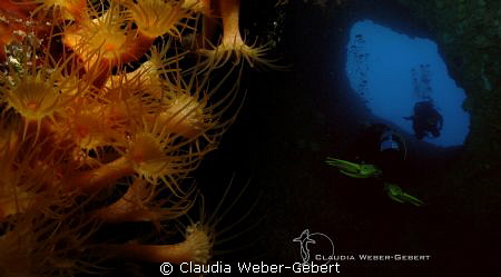 the tunnel ... by Claudia Weber-Gebert 