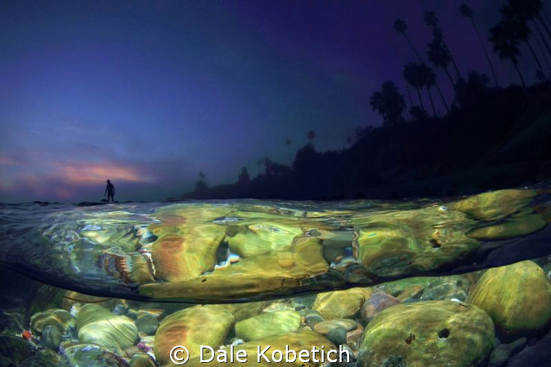 The Last Wave by Dale Kobetich 