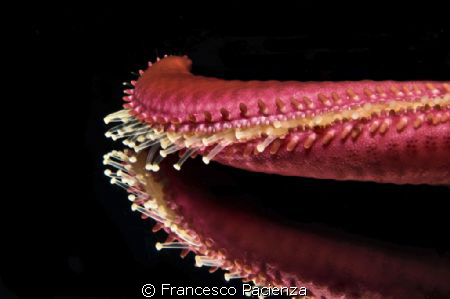 Twisting by Francesco Pacienza 