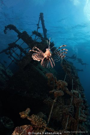 Giannis D & lionfish by Oxana Kamenskaya 