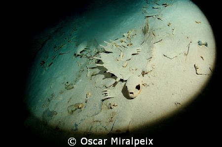 Sipadan Turtle Cavern
Nikon D70 + Nikkor 10,5 + 1 s&s 250P by Oscar Miralpeix 