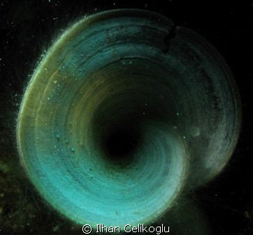 Infinity..!
A nice shot from Kas / Turkiye by Ilhan Celikoglu 