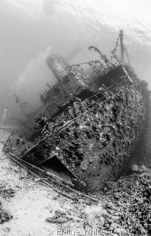 Giana's D, Red Sea
Converted to black and white by Elaine White 