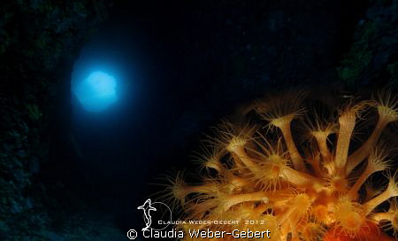 TUNNEL - the other side... by Claudia Weber-Gebert 