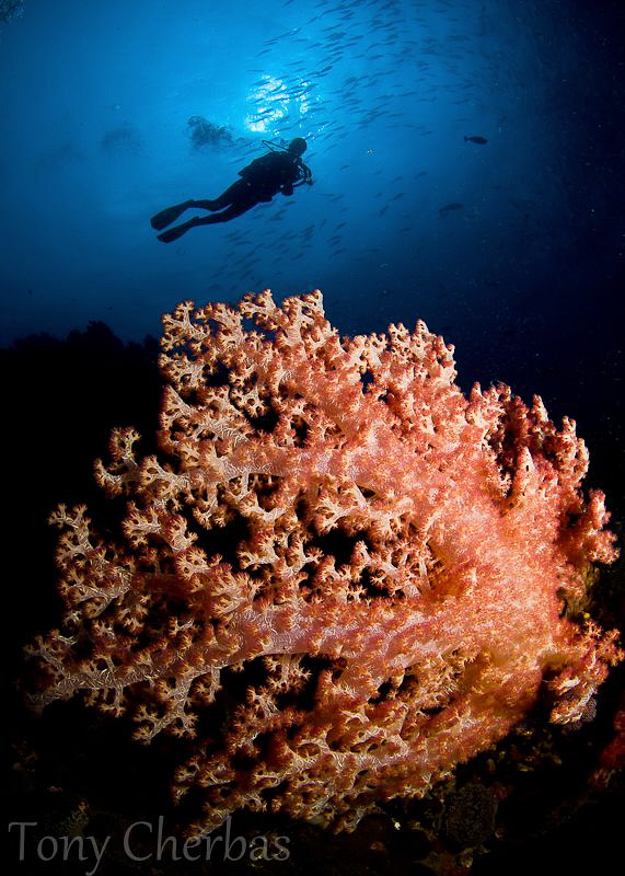 Krakafat, Witu Islands, Papua New Guinea by Tony Cherbas 