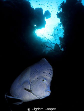 2 different photos merged. by Cigdem Cooper 