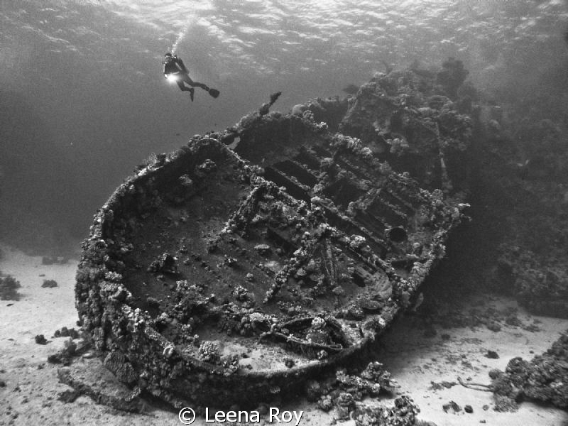 The tug boat by Leena Roy 