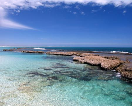 Oyster Bridge, Coral Bay - Western Australia by Penny Murphy 