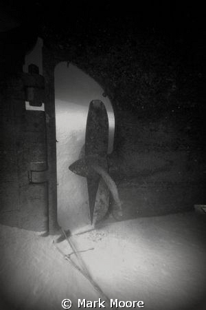 KITTIWAKE PROP by Mark Moore 