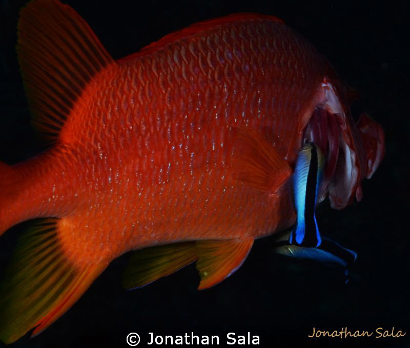 cleaning time by Jonathan Sala 